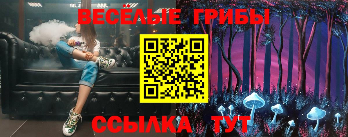 Псилоцибиновые грибы Psilocybe Зерноград