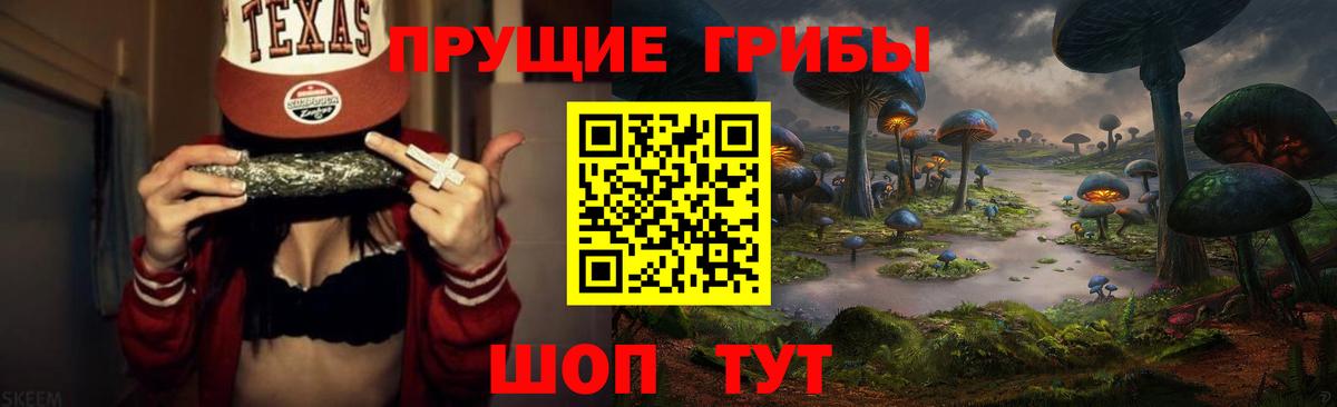 Зерноград  Галлюциногенные грибы Psilocybine cubensis  Вход с VPN 
