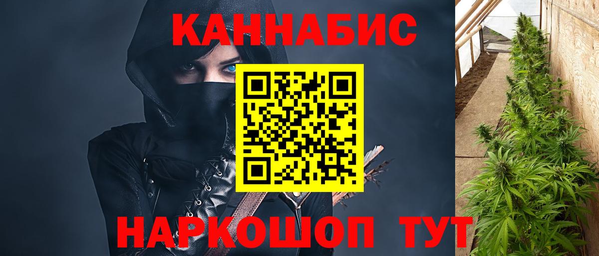 Конопля Bruce Banner Зерноград